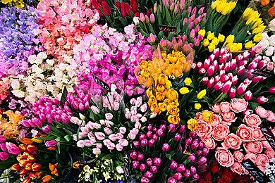 发售仅1天 《喋血复仇》Steam玩家数量超过初代《求生之路》